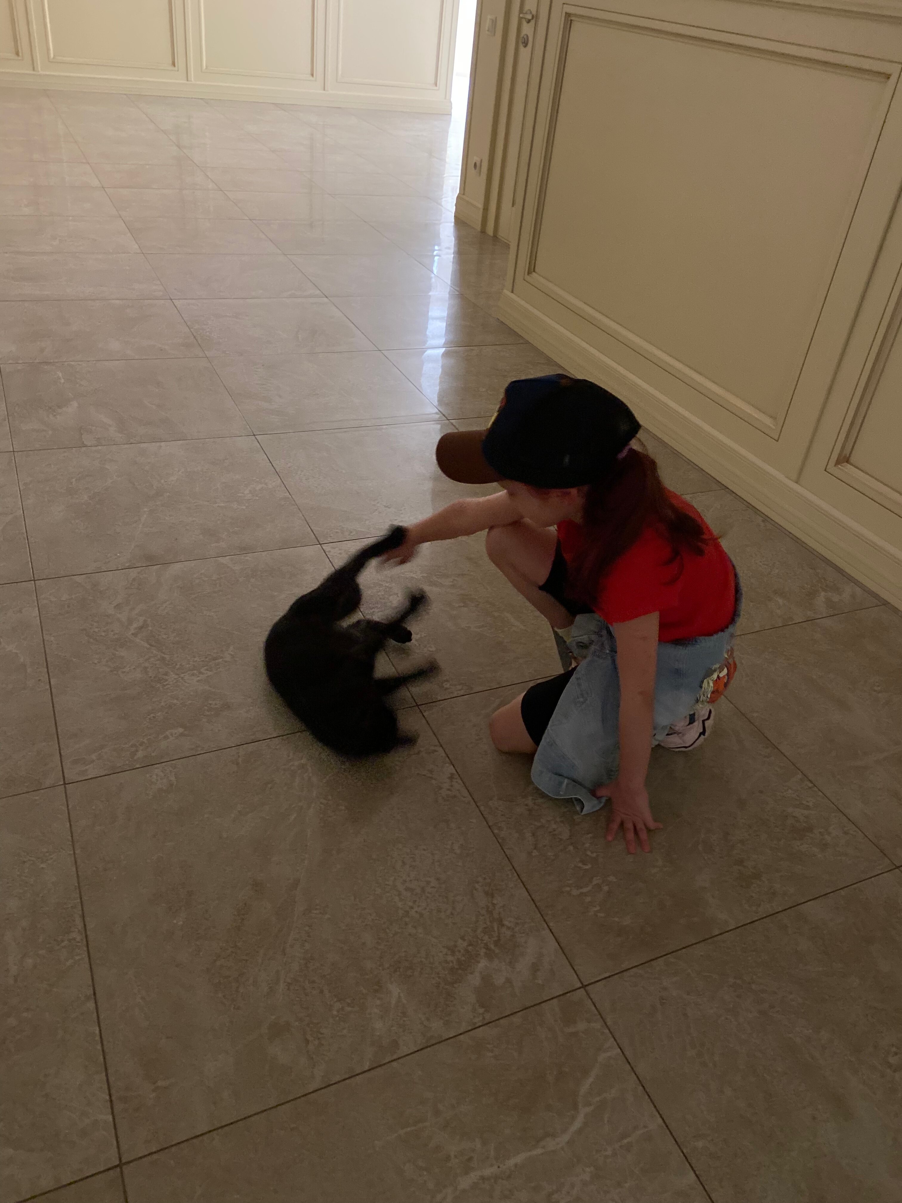 Фото Династия