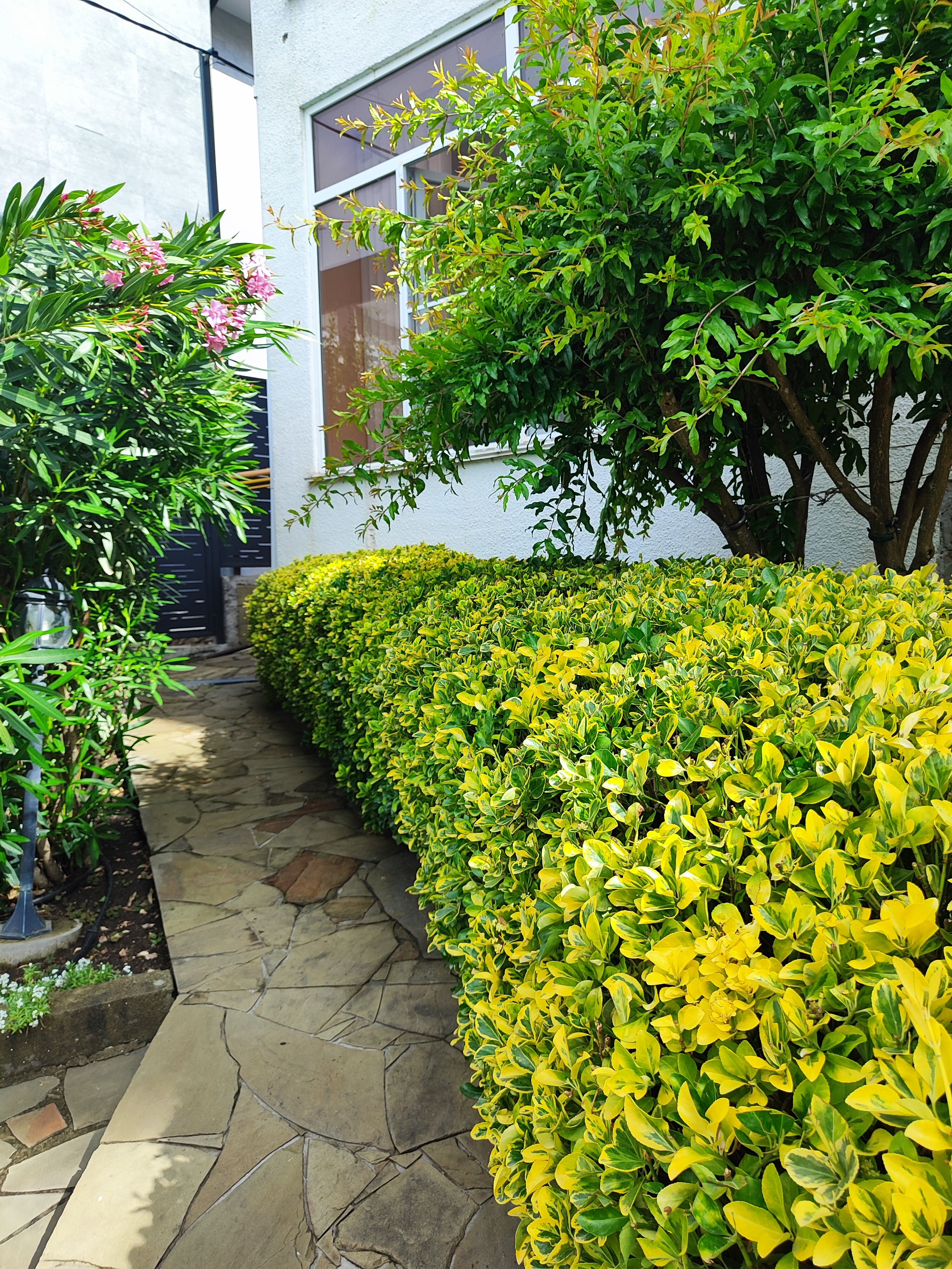 Фото Династия