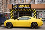 Бамблбир (Lazarevskoe Residential District, Kalarasha Street, 145/8), beer shop