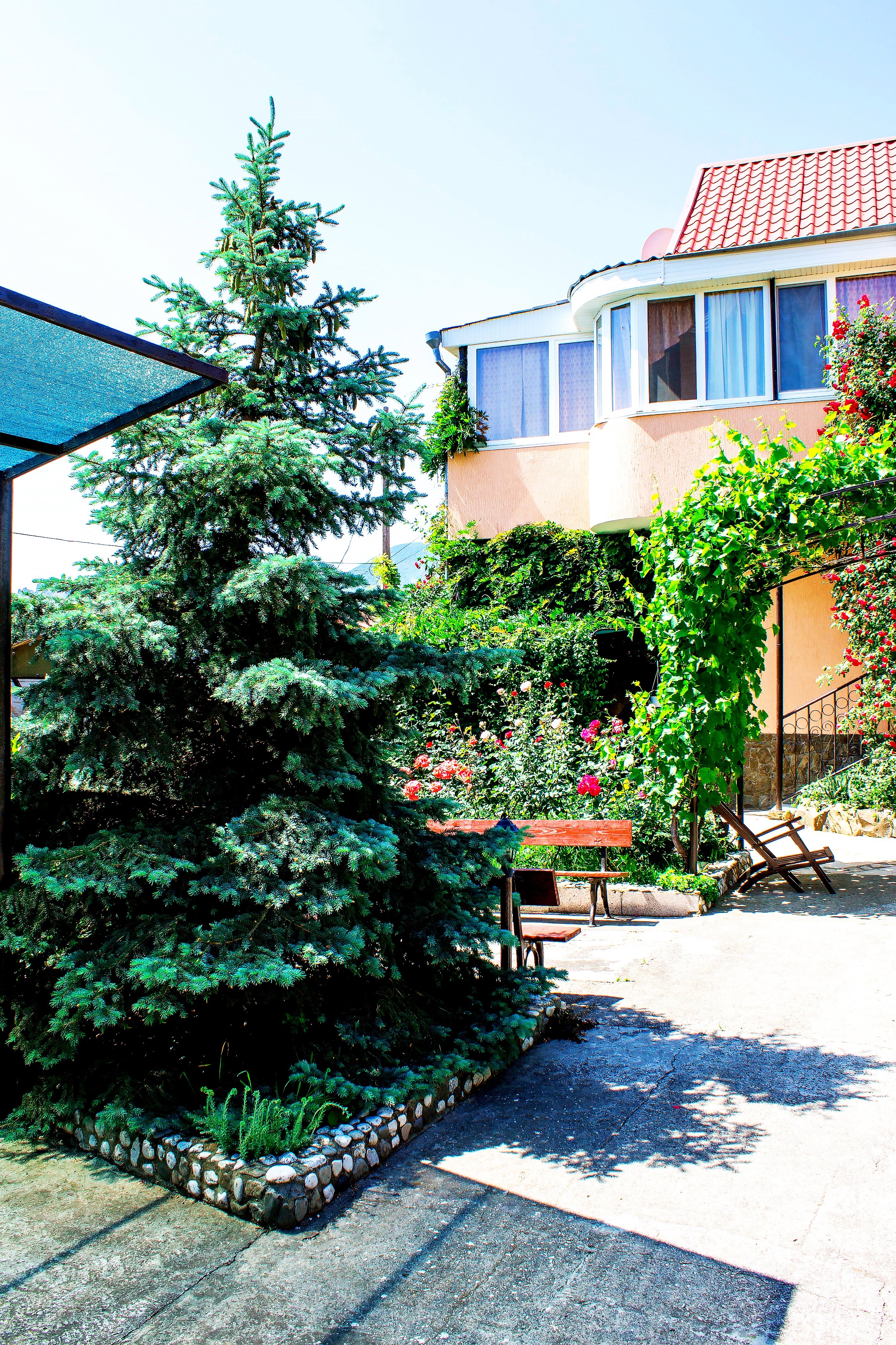 Фото Лето в Коктебеле