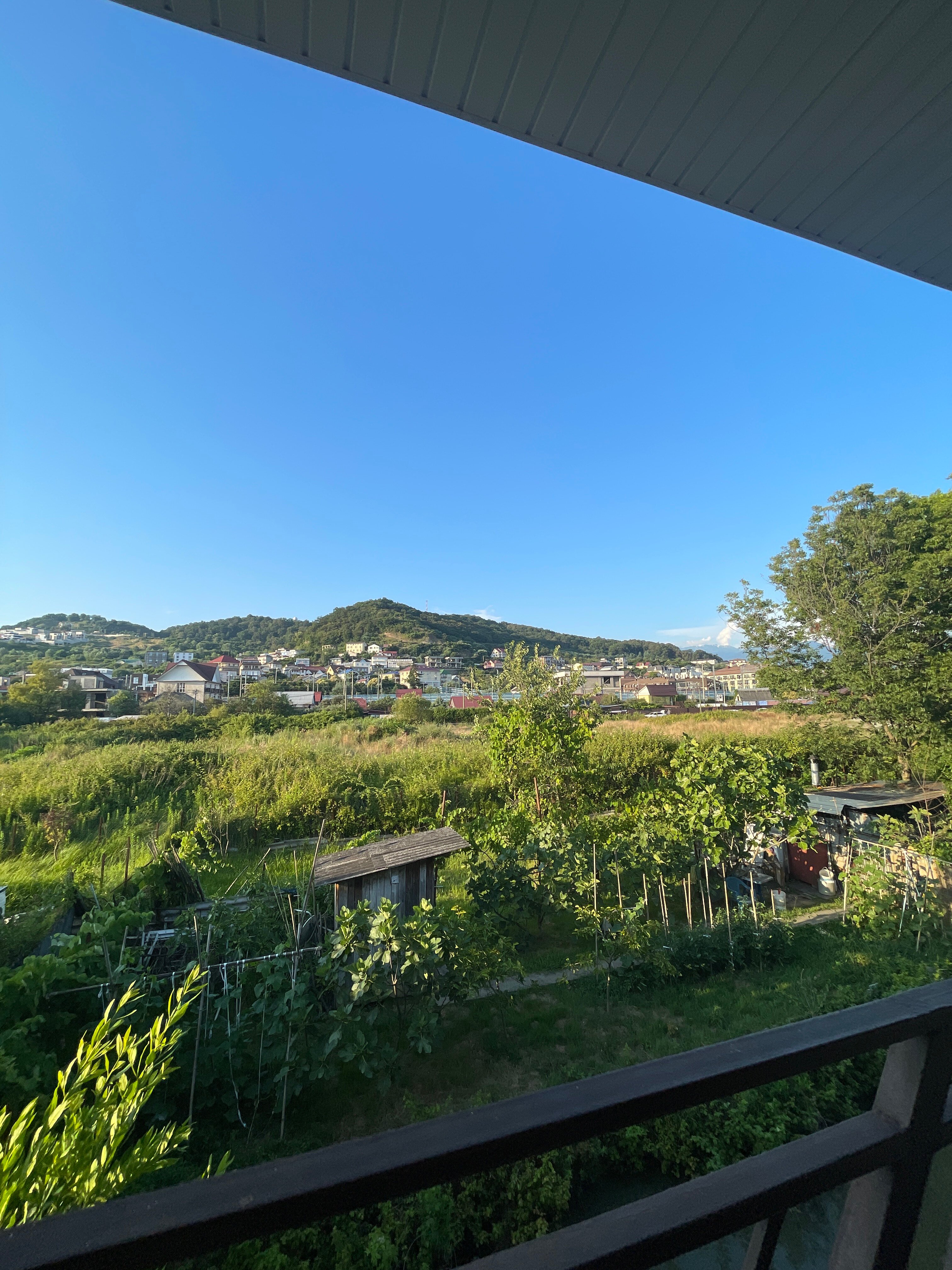 Фото Ариетта