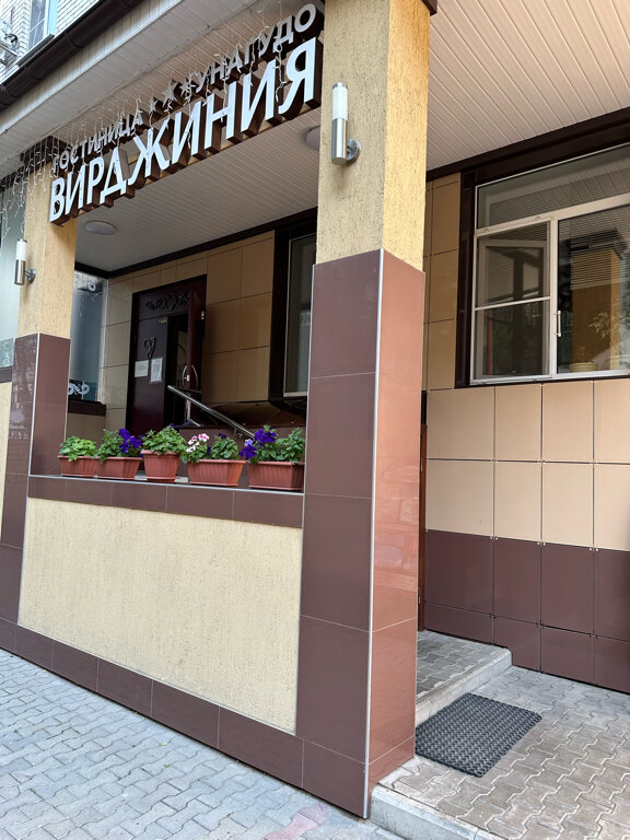 Фото Вирджиния