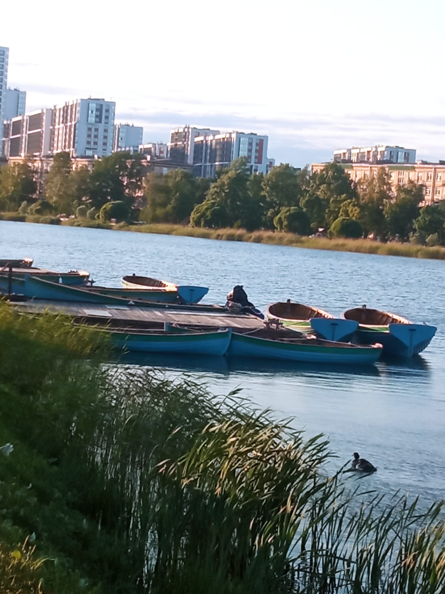 Фото Начало