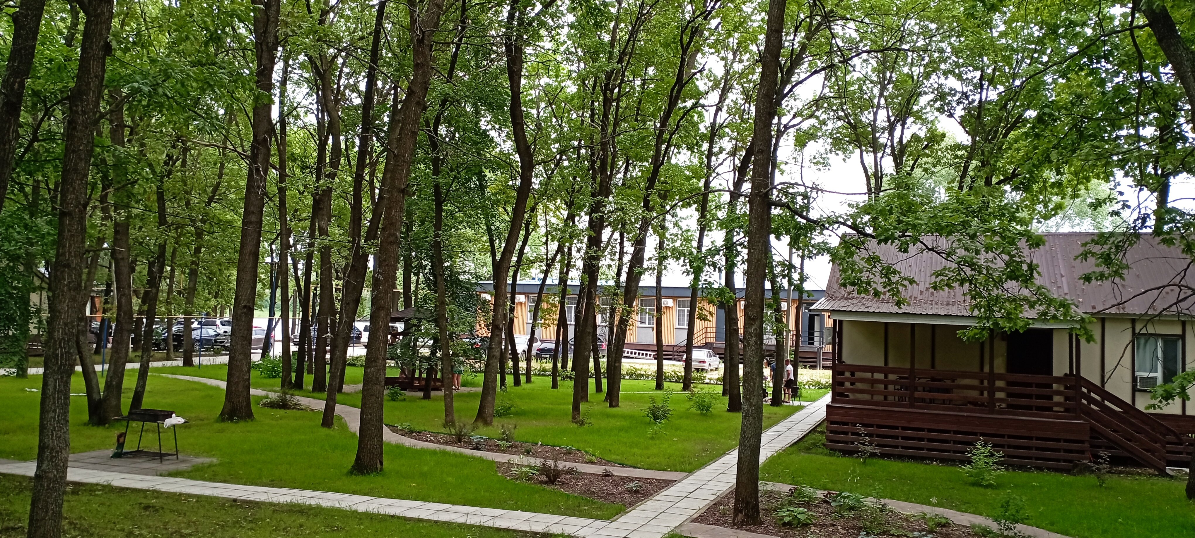 Фото Алымов