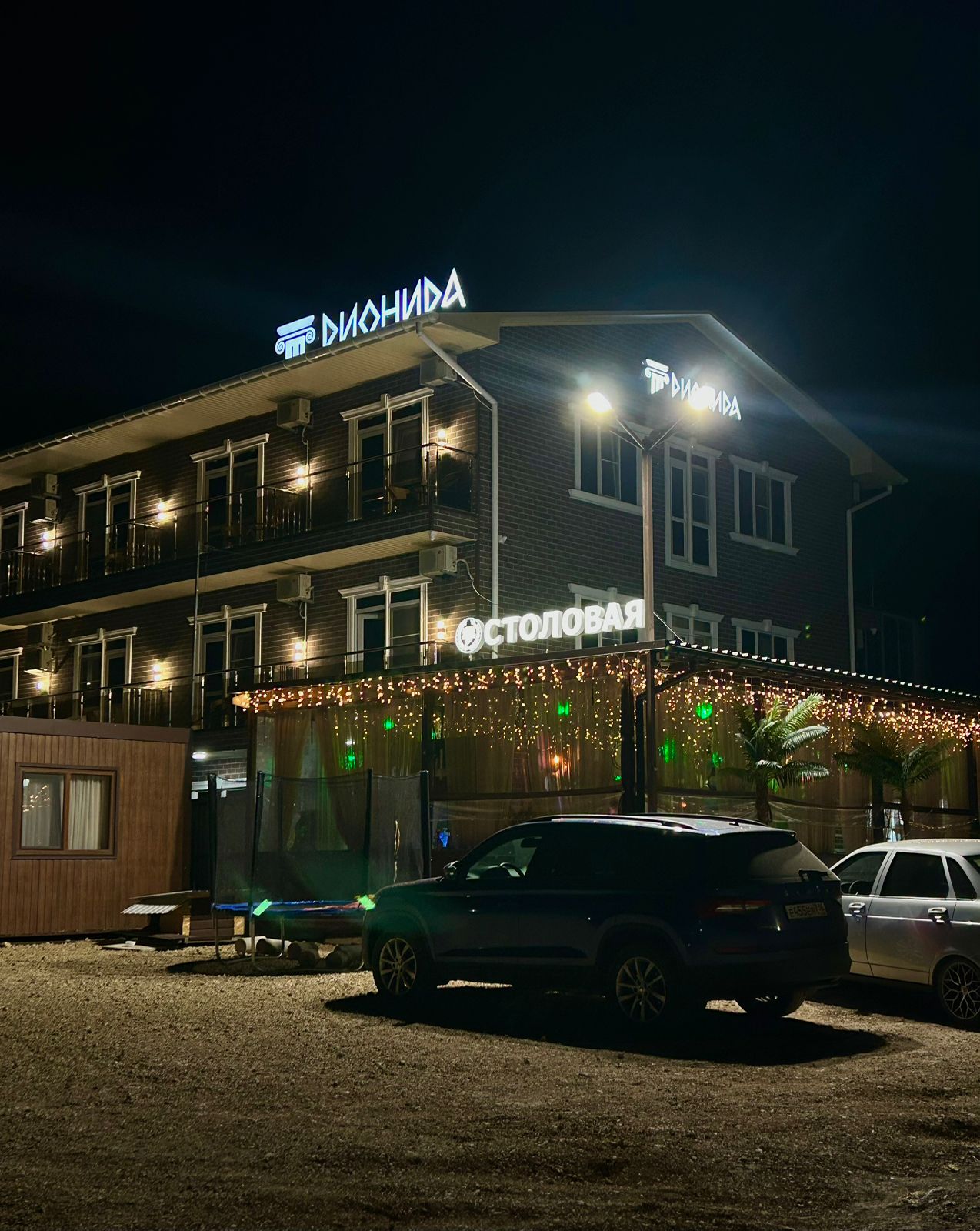 Фото Дионида