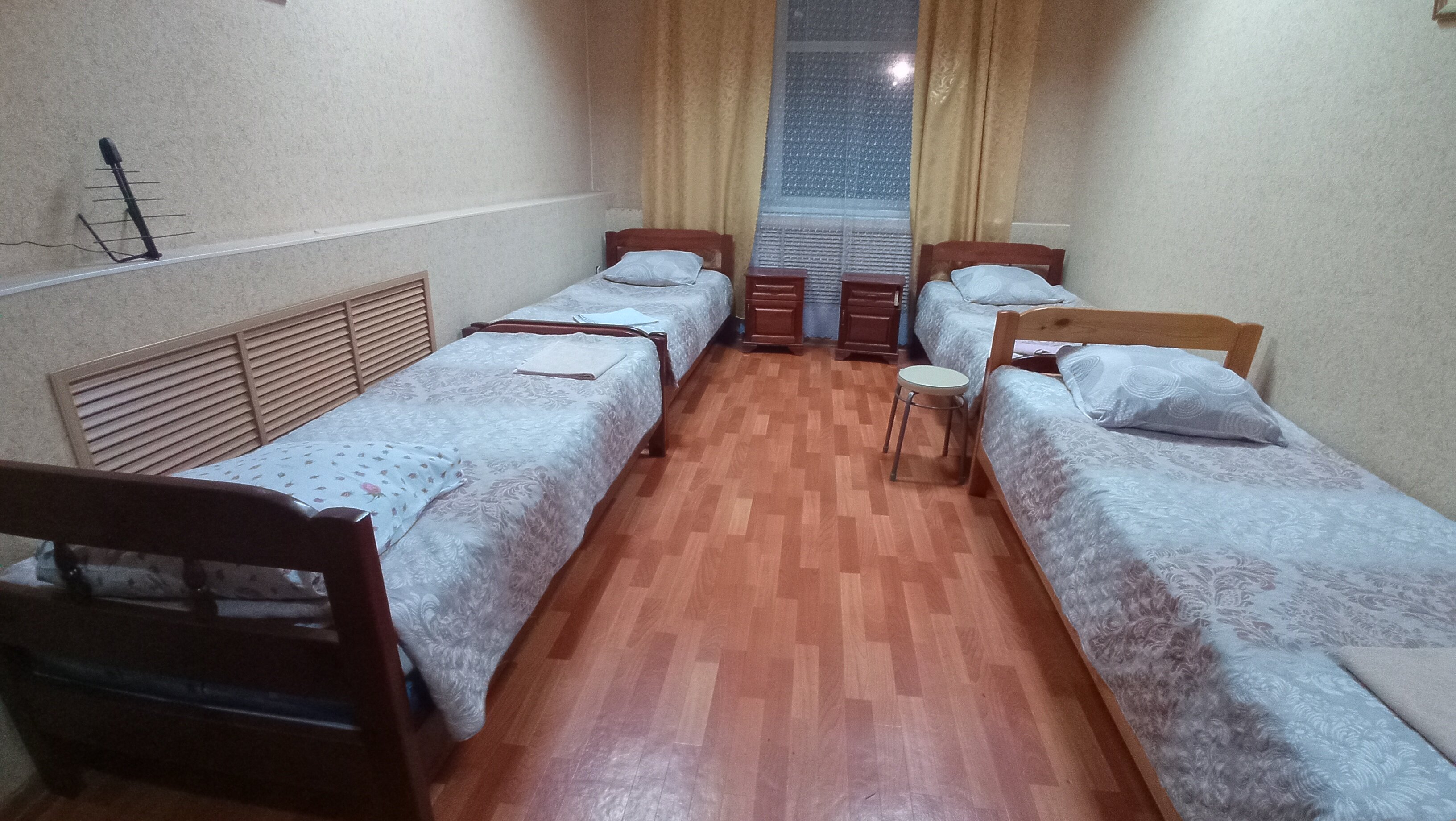 Фото Ромашка