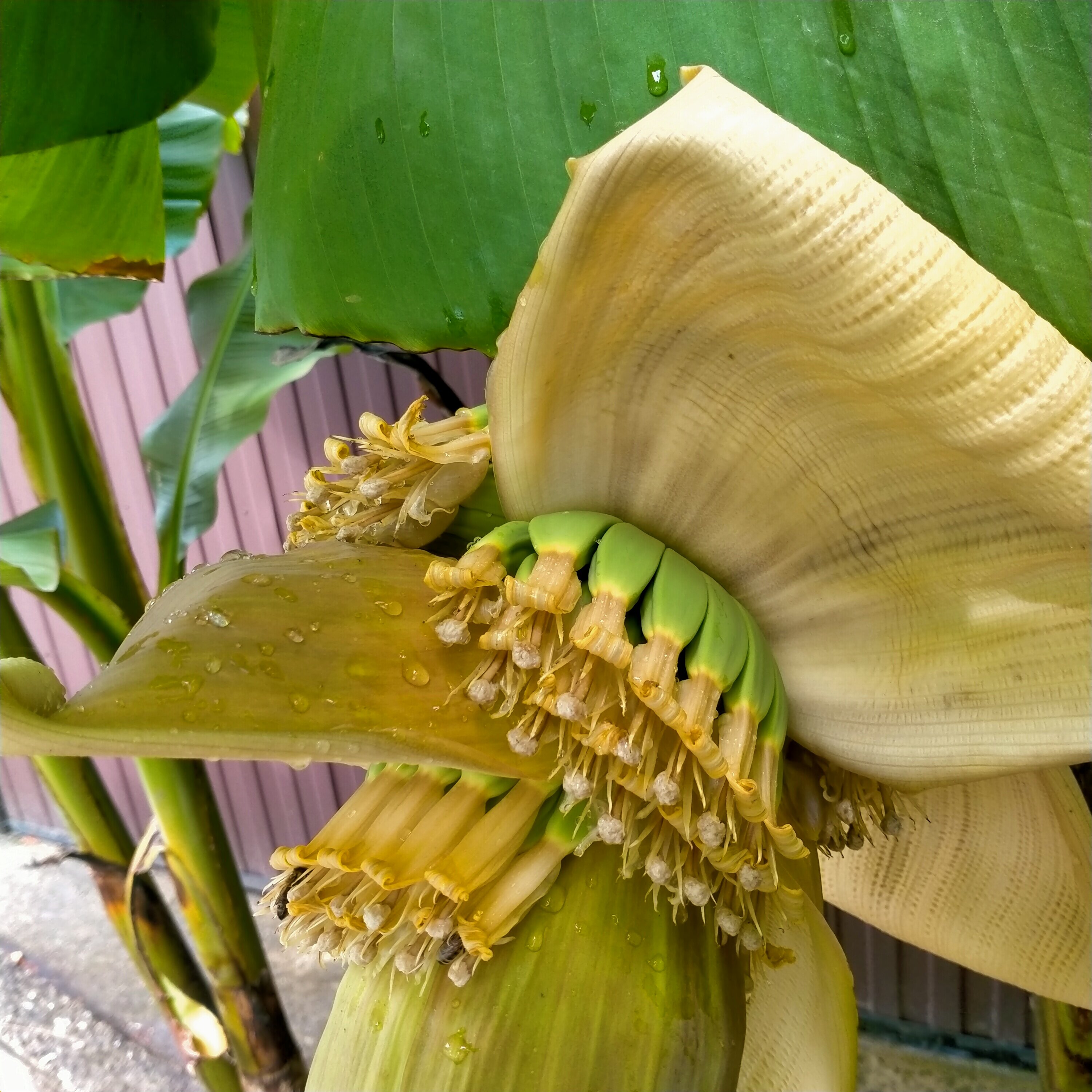 Фото Ставрополье