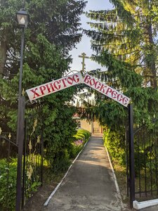 Церковь Вознесения Господня (Nizhnedevitsk Village, Voronezhskaya ulitsa, 34), orthodox church