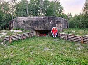 Дот оборонительного рубежа Ижора (Санкт-Петербург, улица Димитрова), достопримечательность в Санкт‑Петербурге