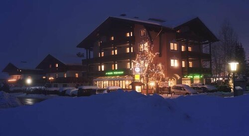 Гостиница Hotel Alpina