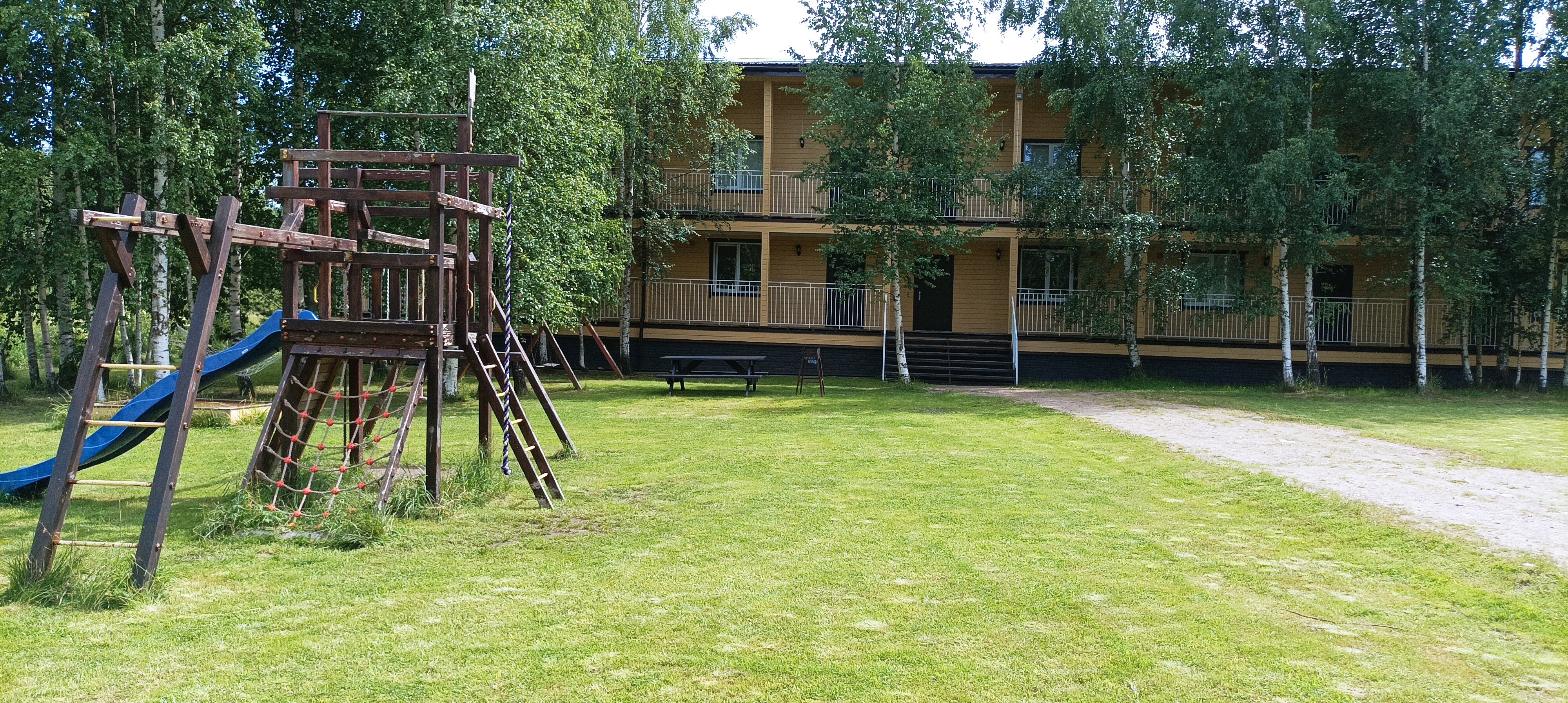 Фото Березки