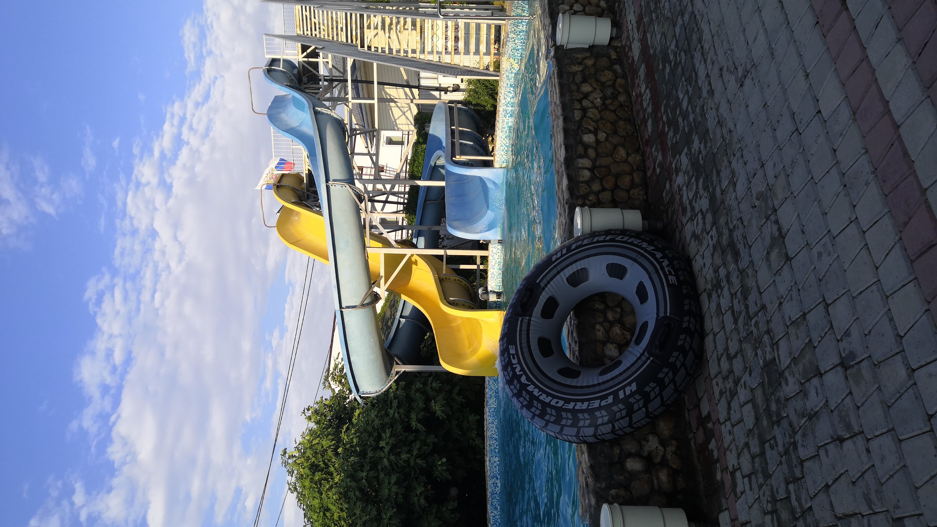 Фото Альбатрос