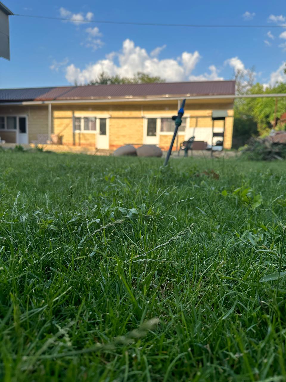 Фото У Елены