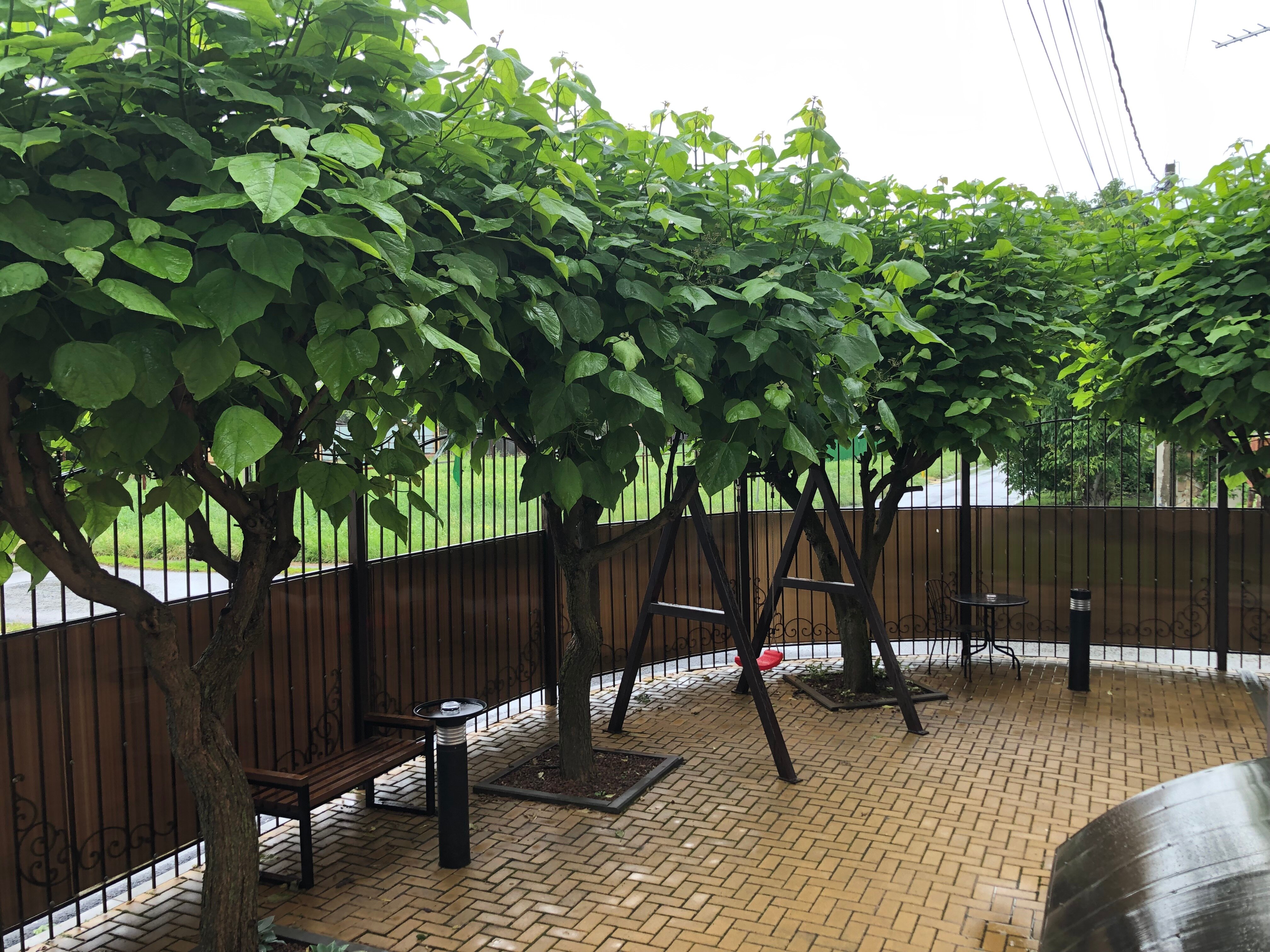 Фото Апартаменты Рассвет