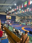 Centr wrestling greco-roman (ulitsa Vasilyeva, 9), sports club