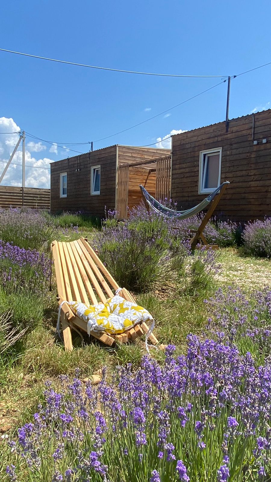 Фото Эко-дом Лаванда