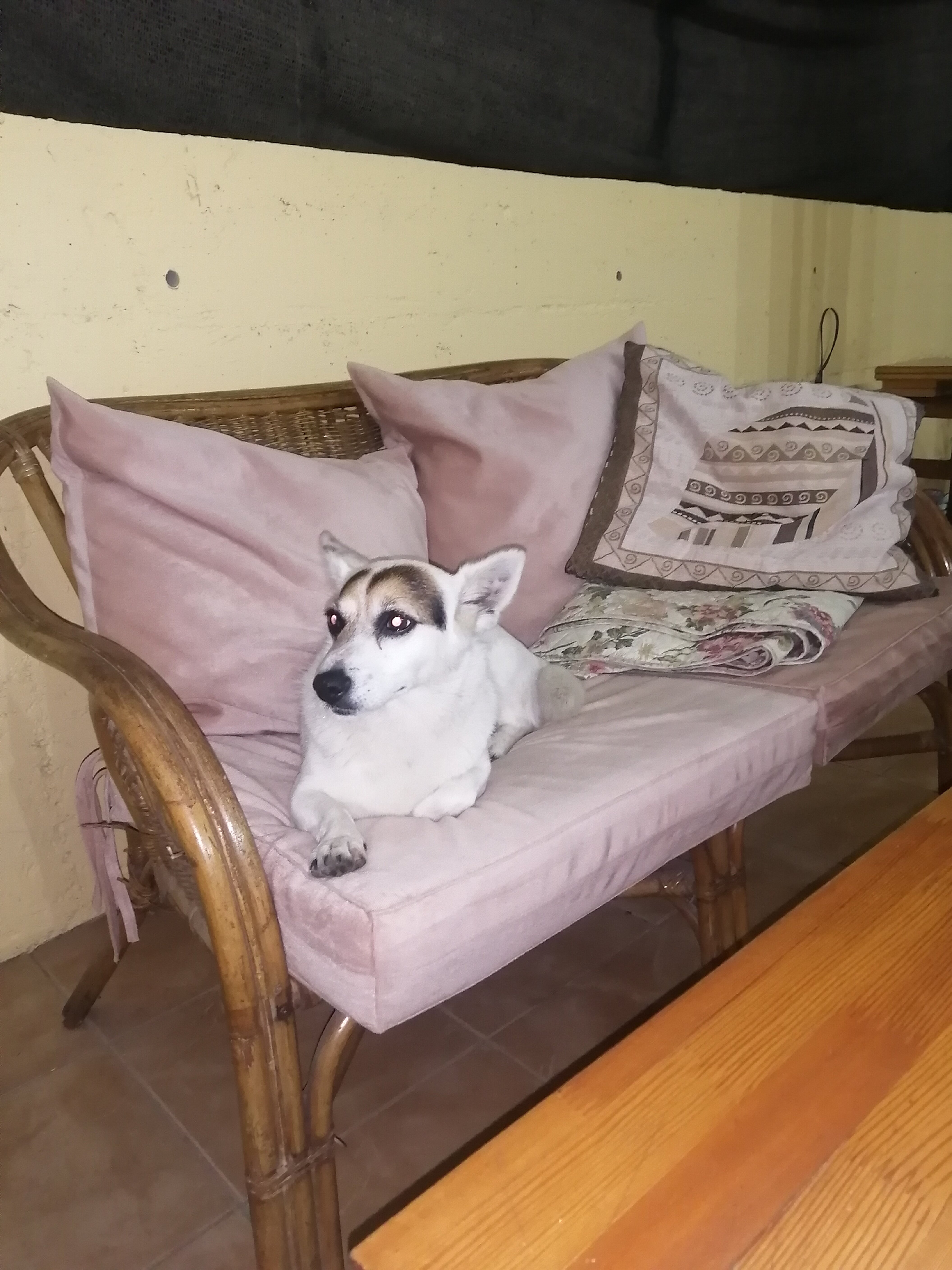 Фото Панорама Хоста