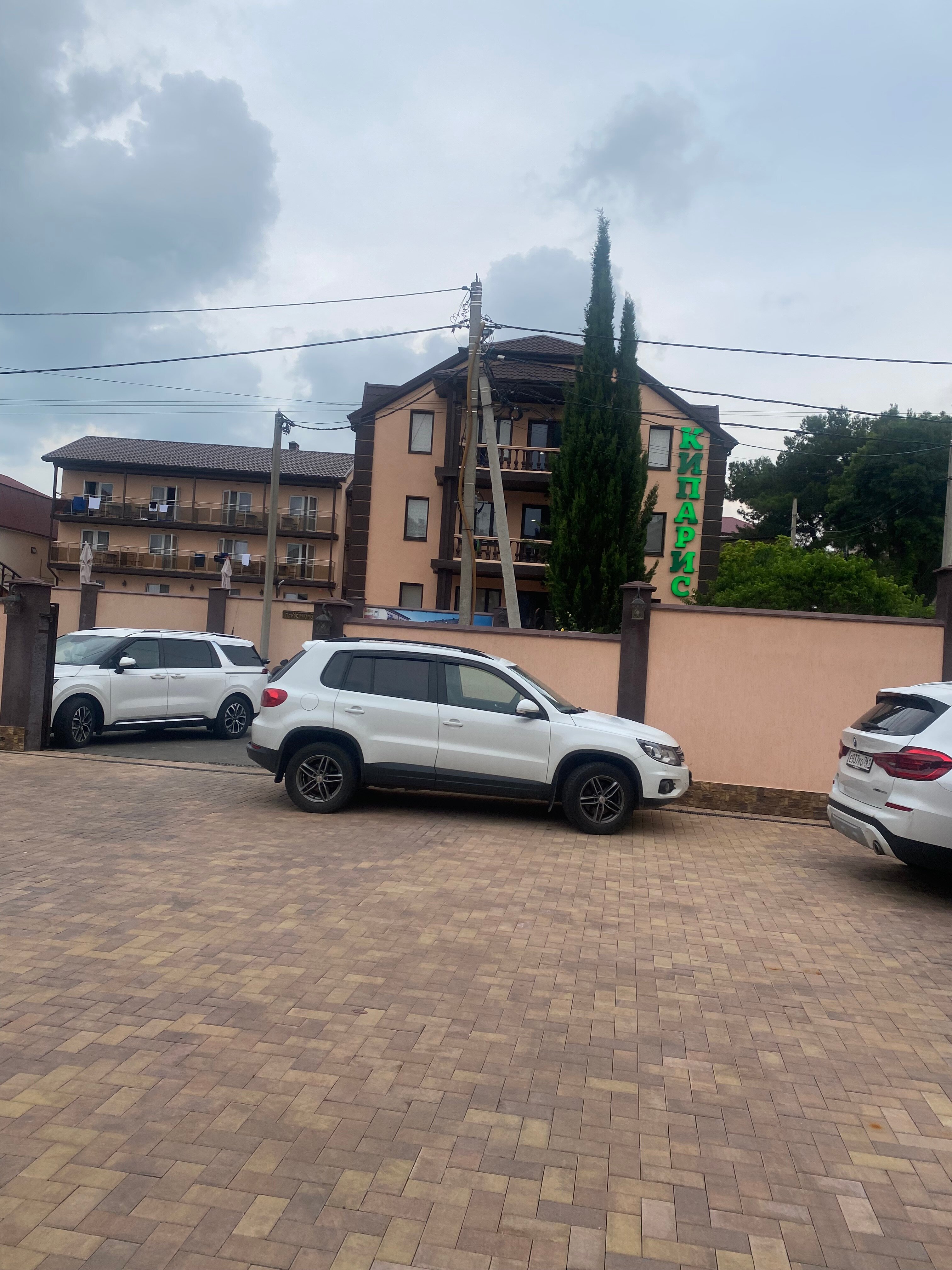 Фото Кипарис