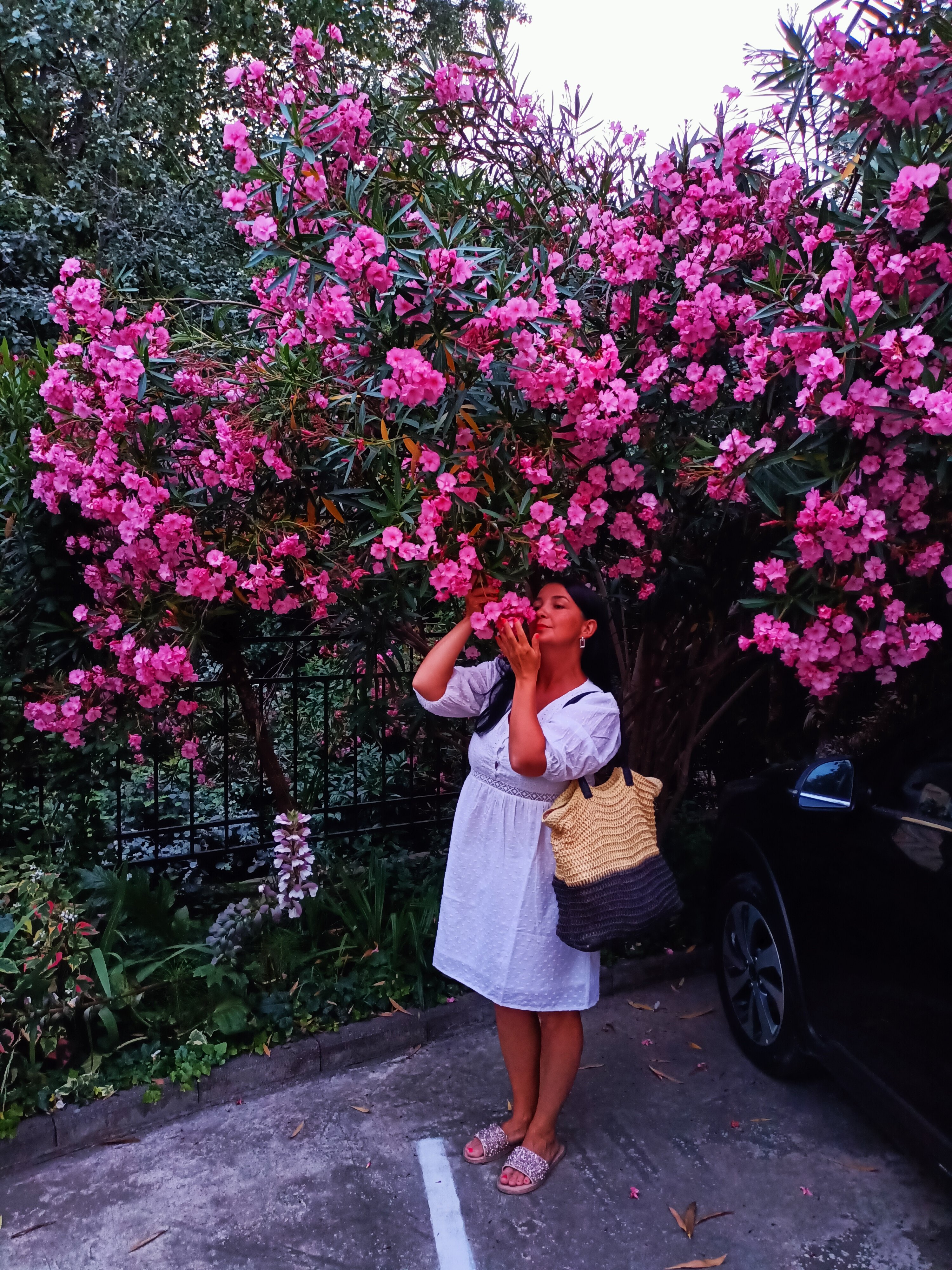 Фото Старая Хоста