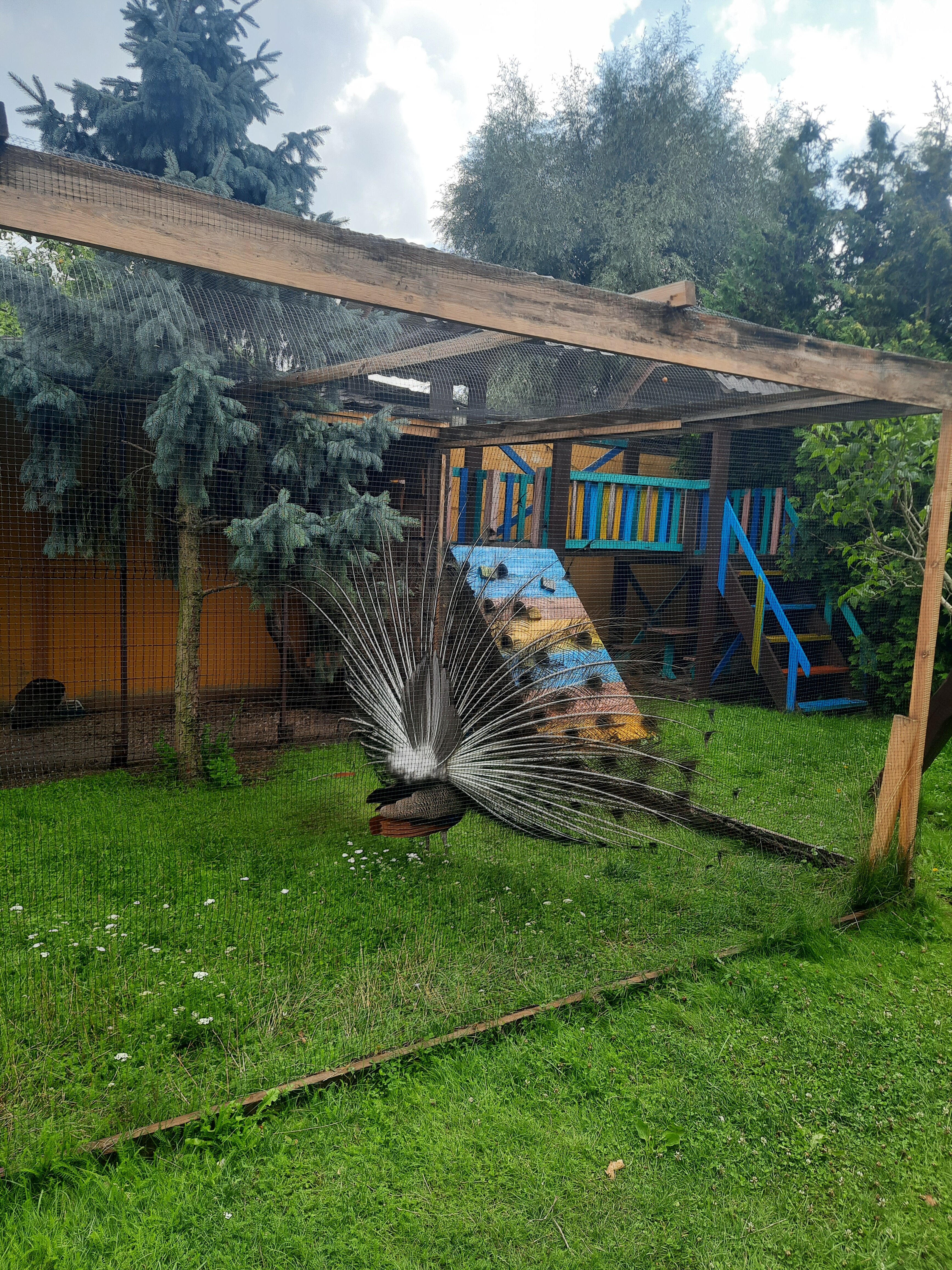 Фото Прибрежный