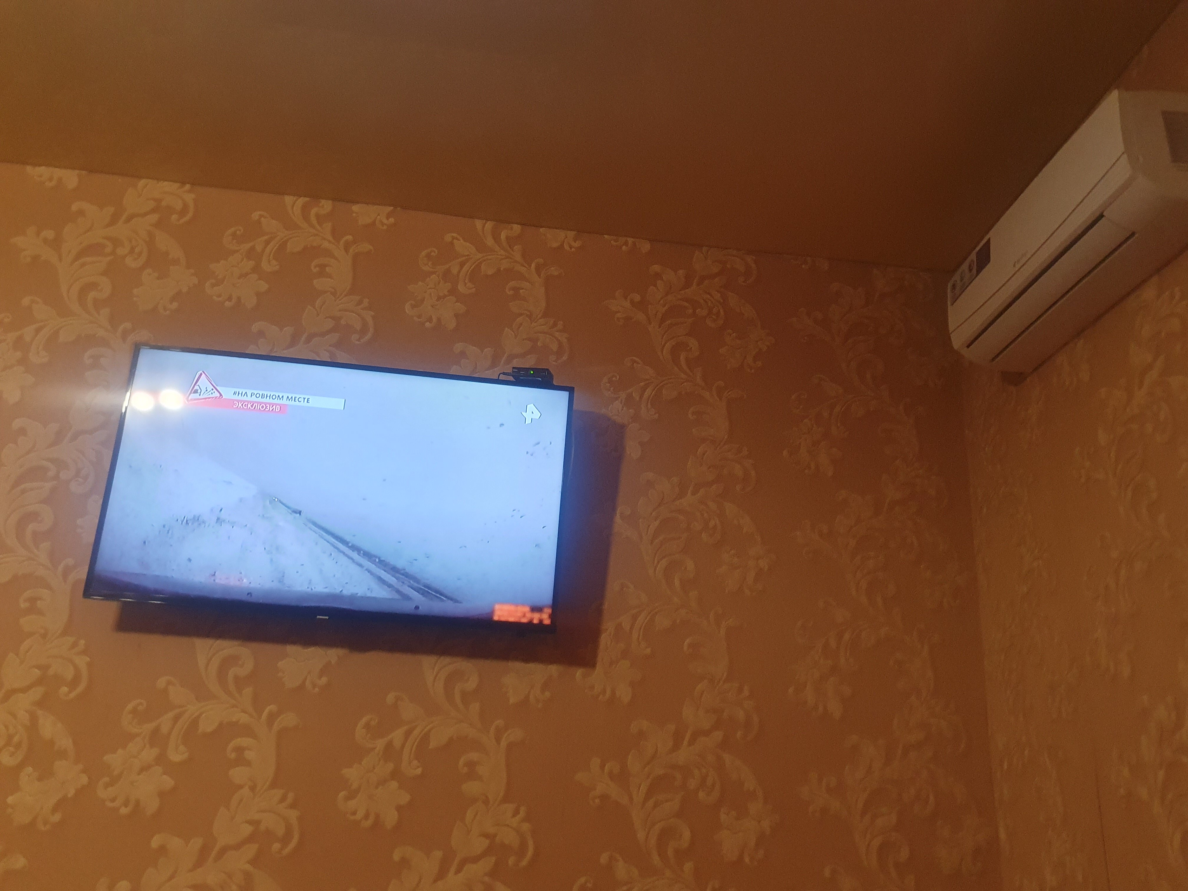 Фото Альянс