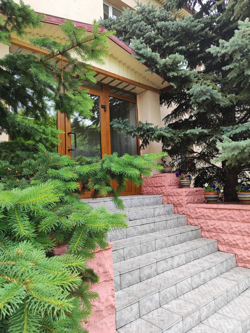 Фото Амилия