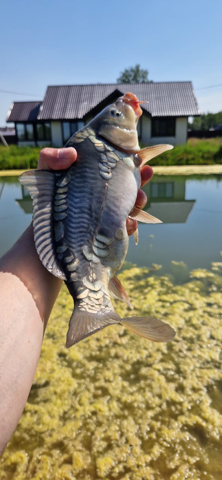 Фото Ярославские озерки