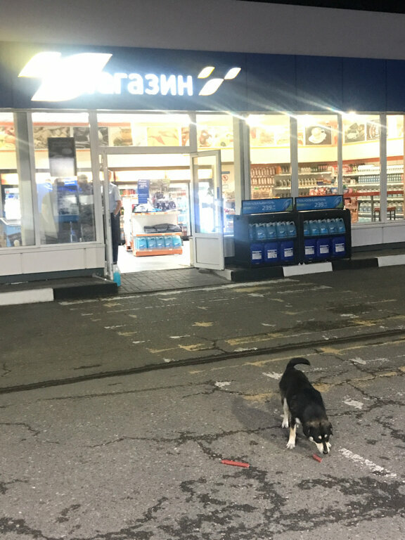 Benzin istasyonu Gazprom, Rostovskaya oblastı, foto