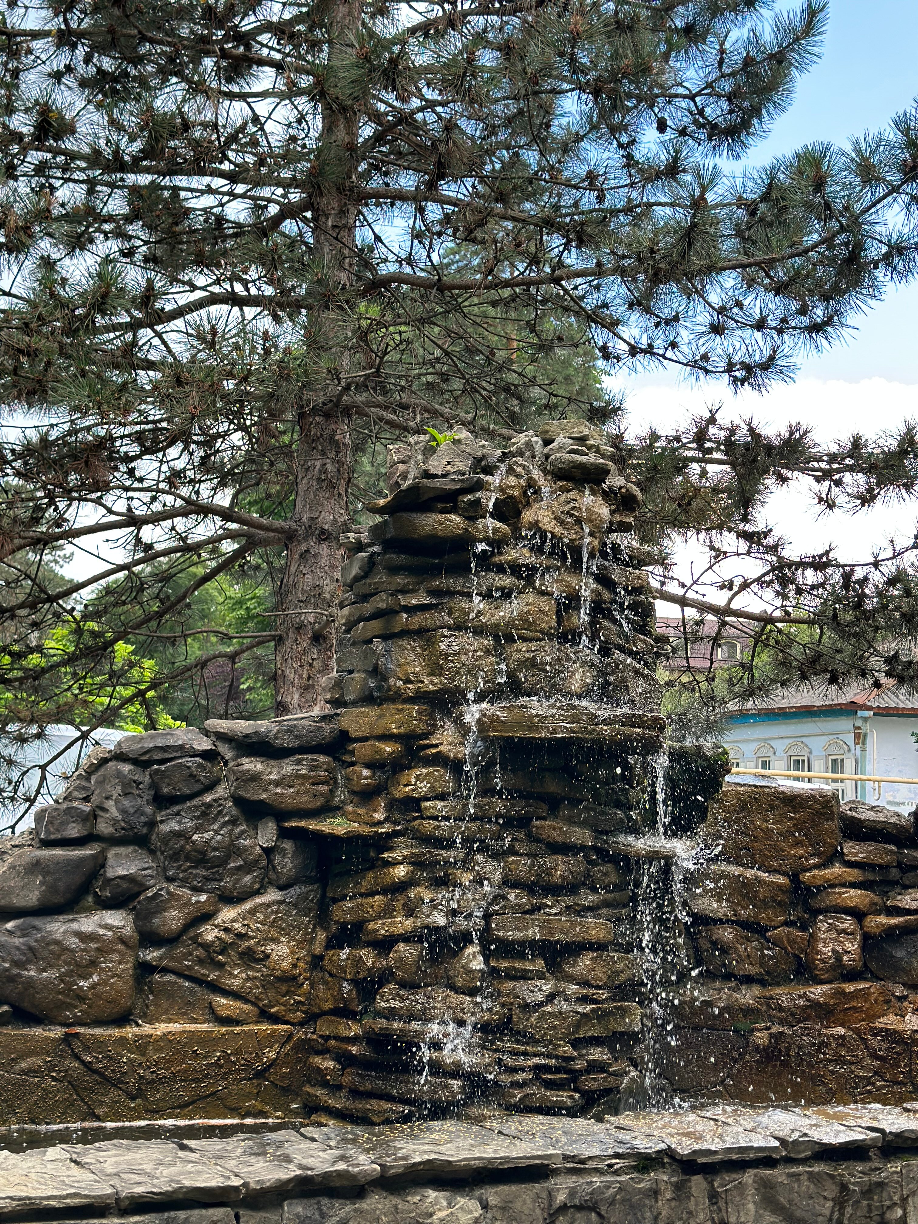 Фото Рич Хаус