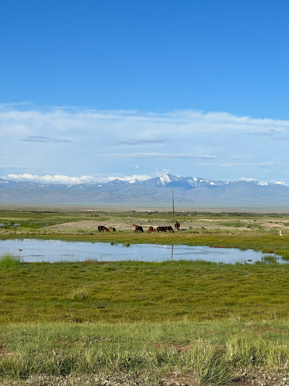 Фото Островок