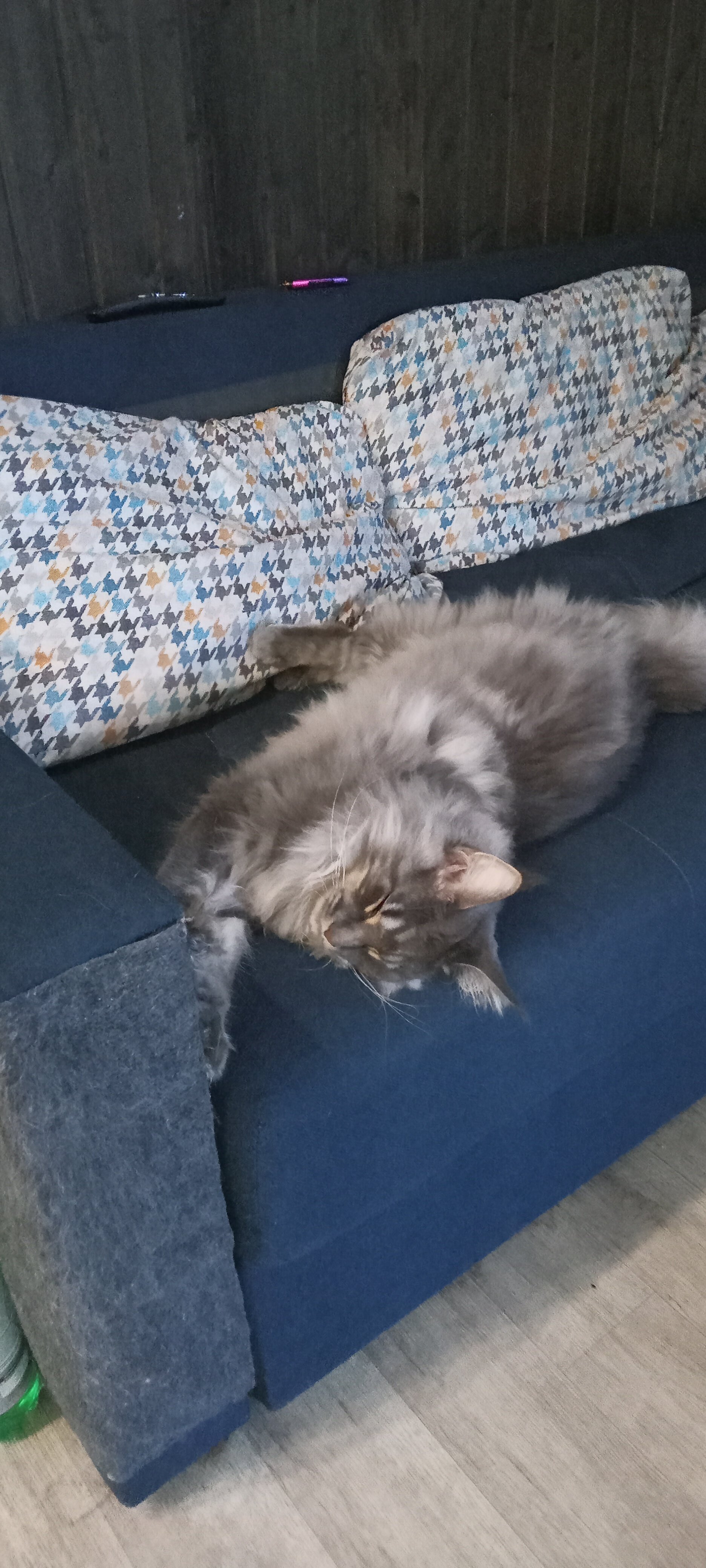 Фото В гостях у бабуsи