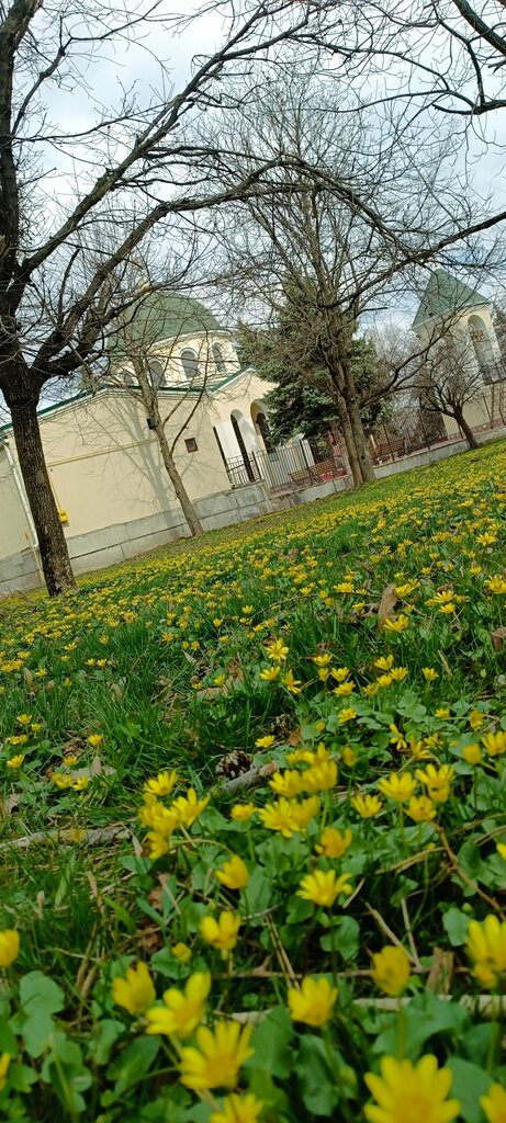 Iglesia ortodoxa Церковь Георгия Победоносца, , foto
