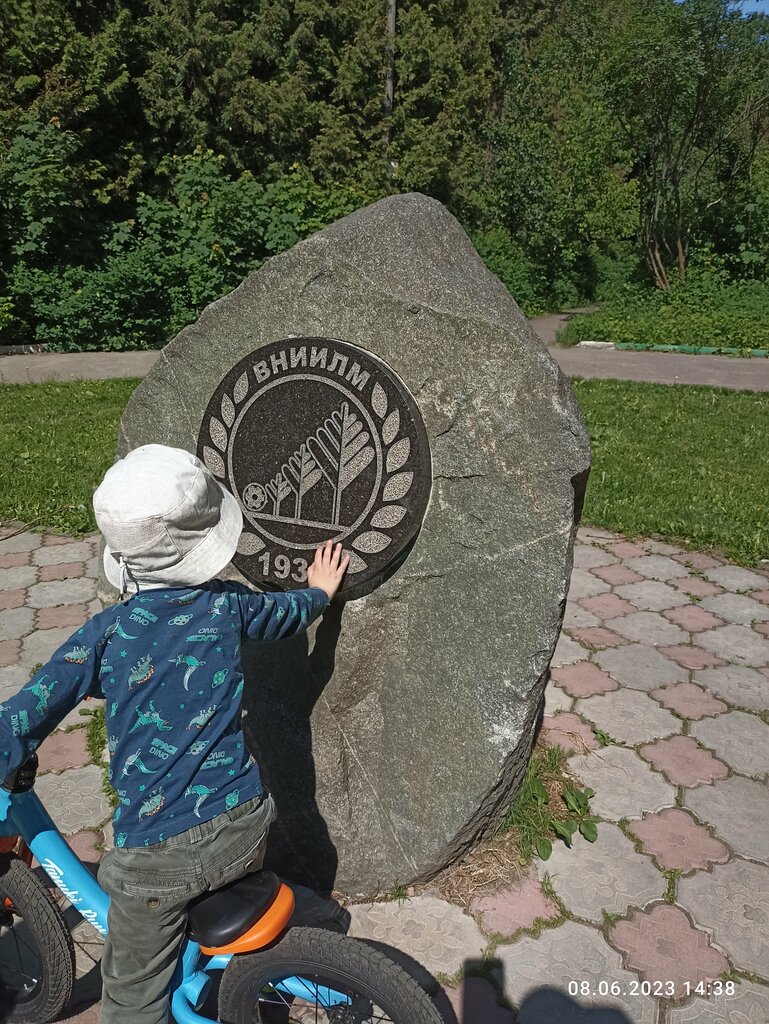 Park Дендропарк Вниилм, Pushkino, photo