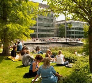 Coworking Pladis Global, Dubai, photo