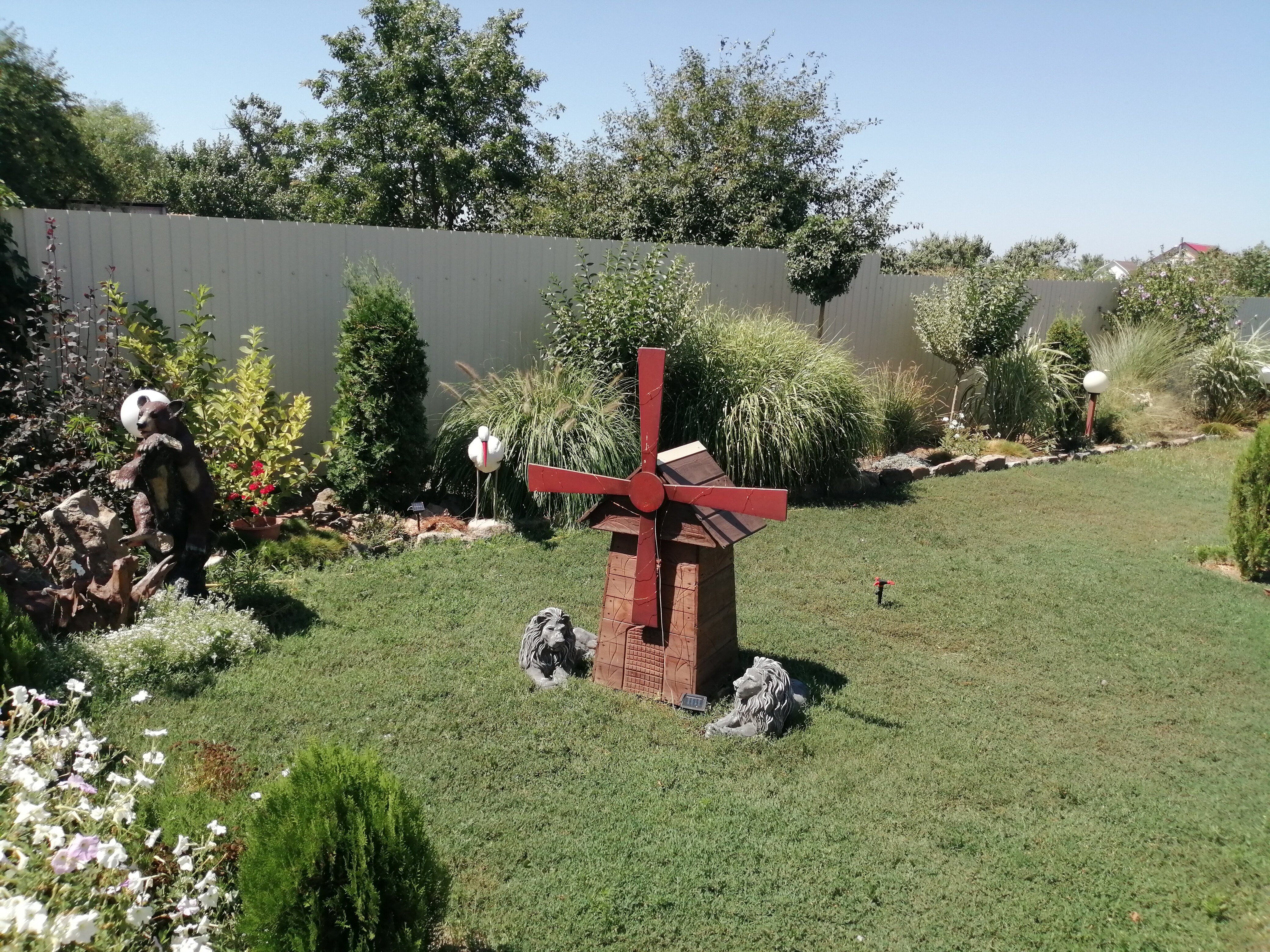 Фото Должания