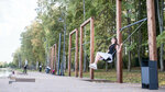 Качели (Moscow Region, Solnechnogorsk Urban District, park Naberezhnaya Vystrel) ، البنية التحتية لقطاع الترفيه