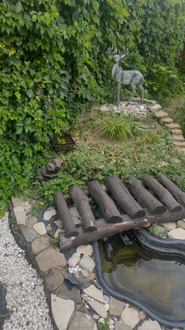 Фото Курени