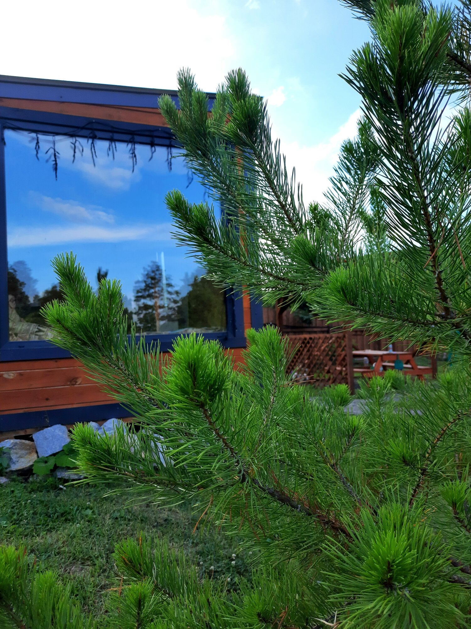 Фото Время в горы