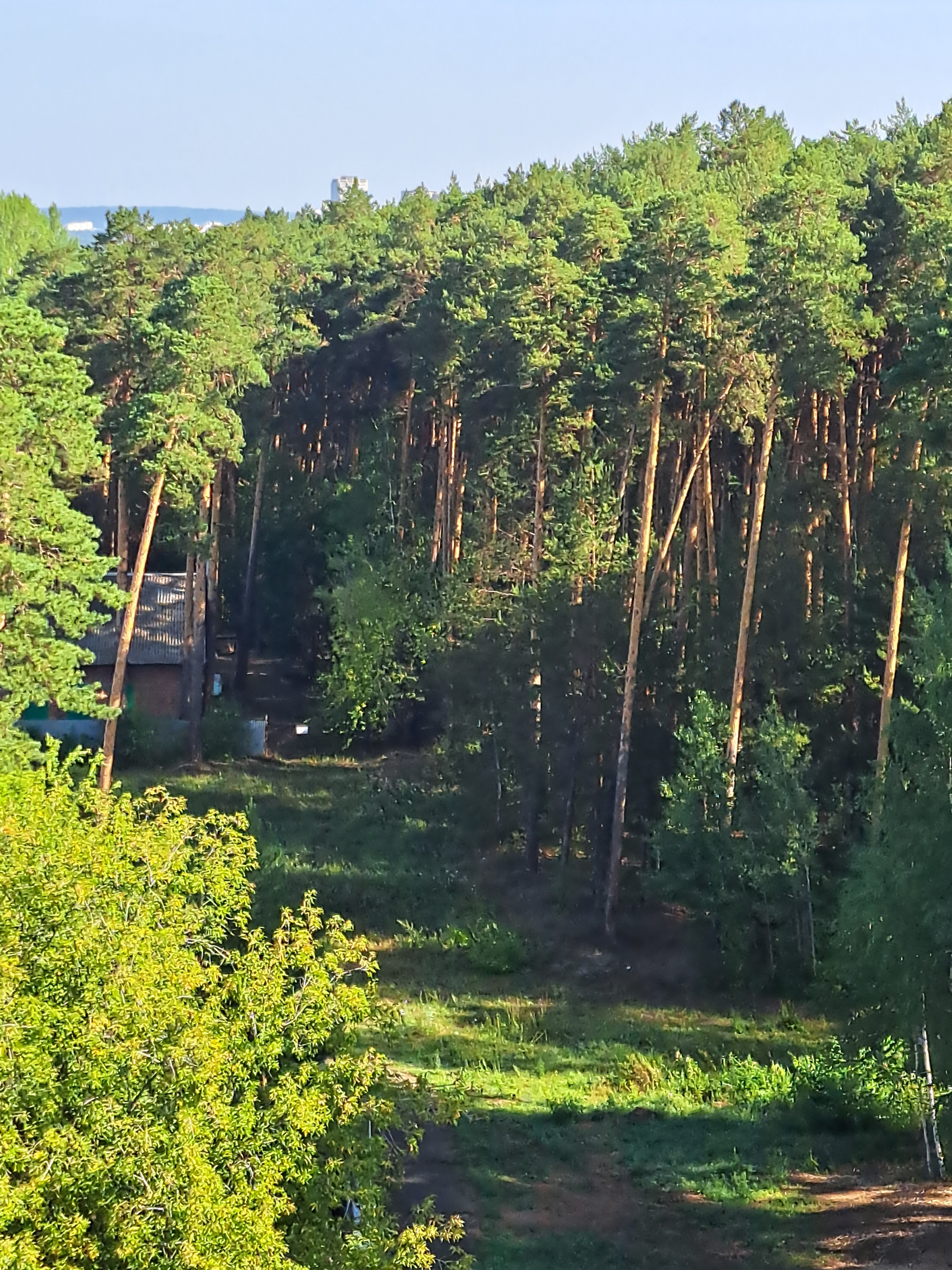 Фото Термы Плюс