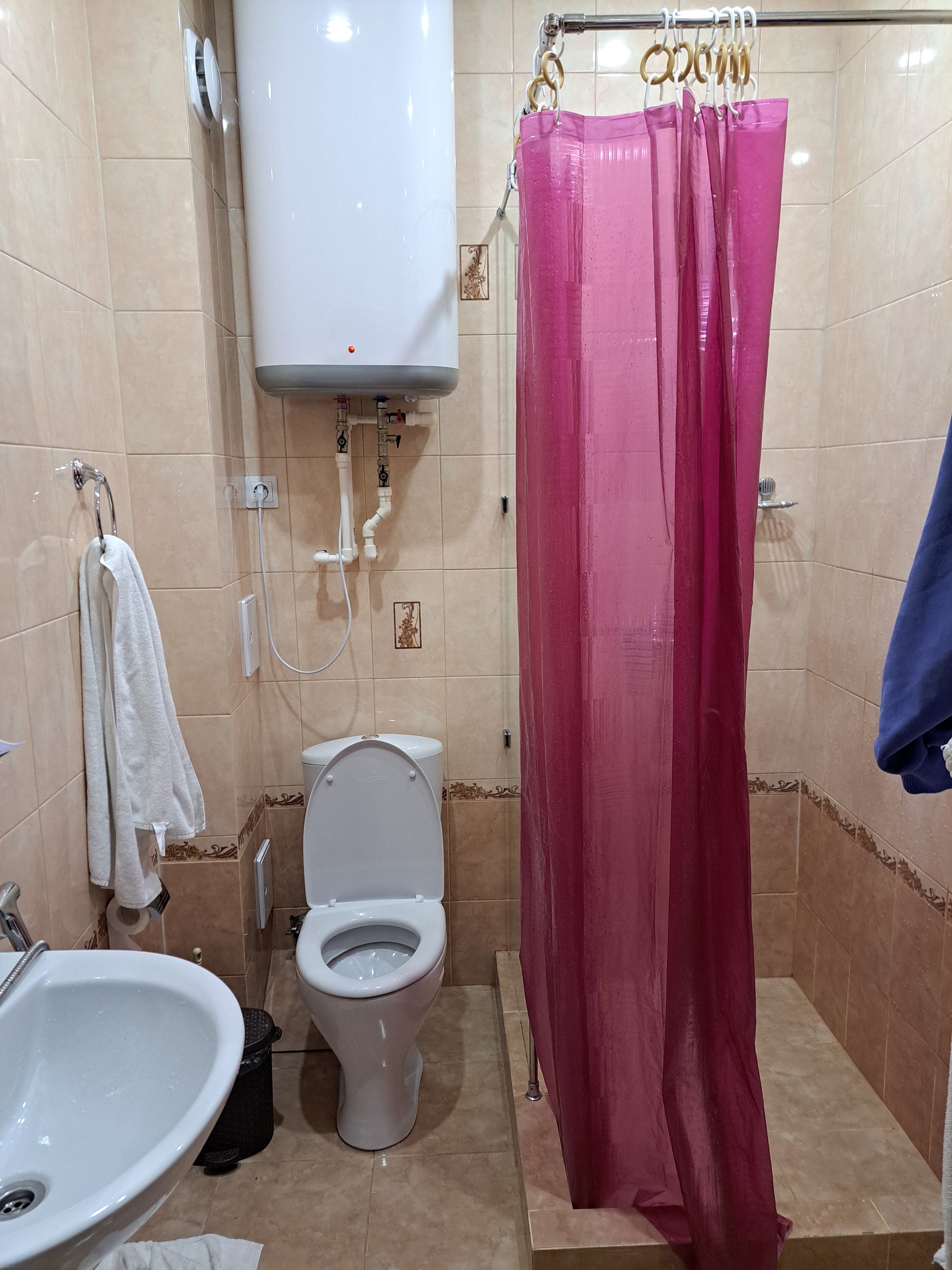 Фото Байкал Кедр