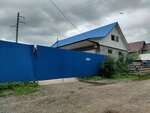 Avtoservis (Tsyganskaya ulitsa, 77), car service, auto repair