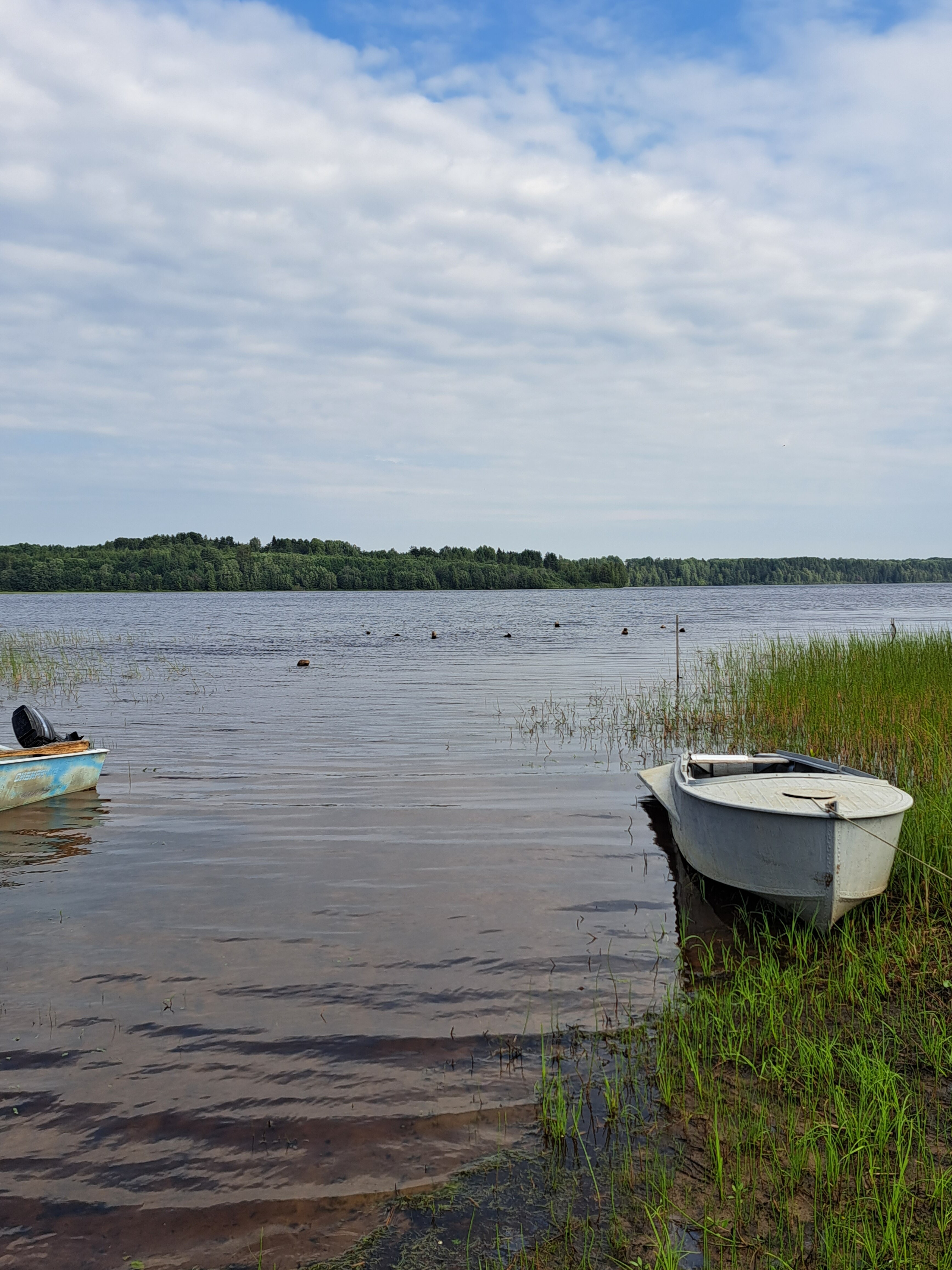 Фото Дальние дачи