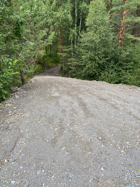 Фото Камышла Парк