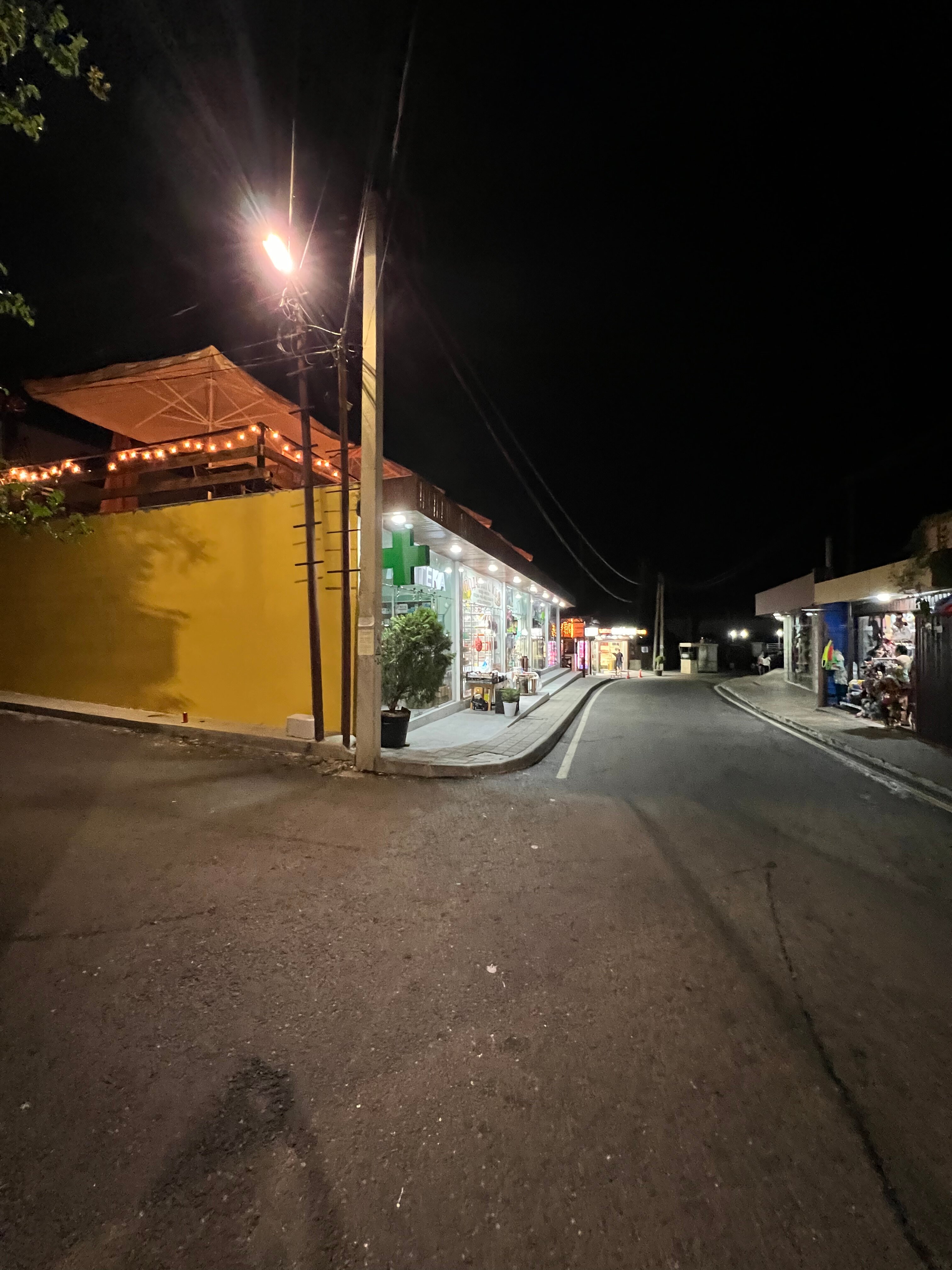 Фото Роза Ветров