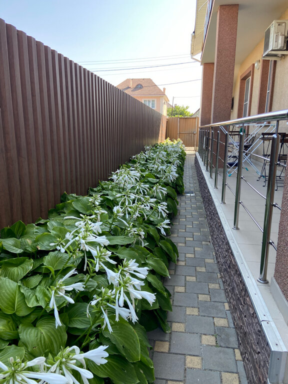 Фото Экотель