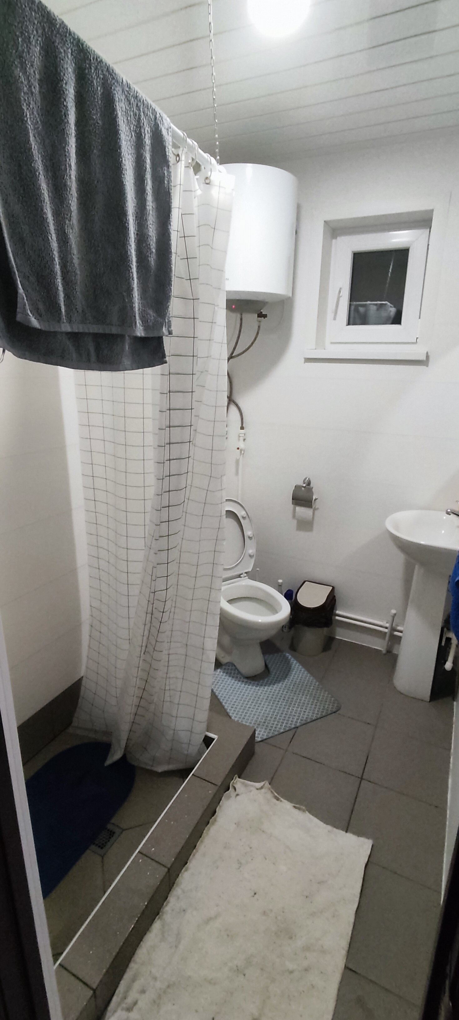 Фото Березка