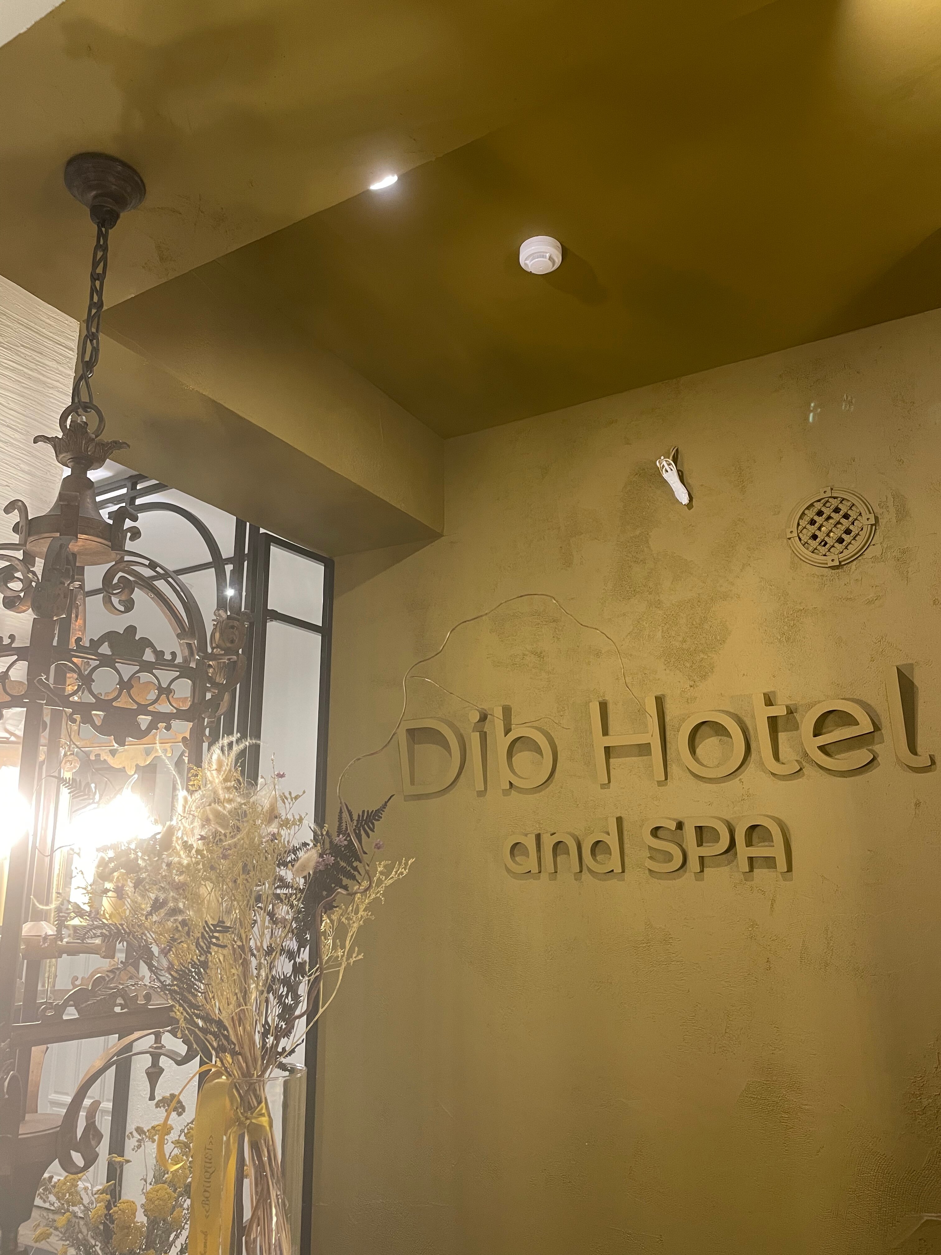 Фото DibHotel