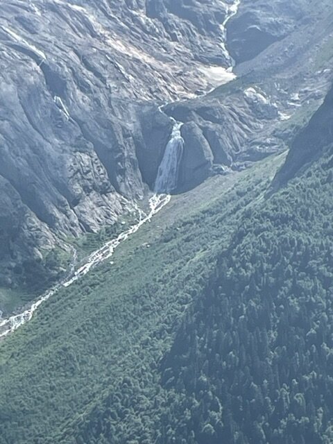 Фото Альпийский