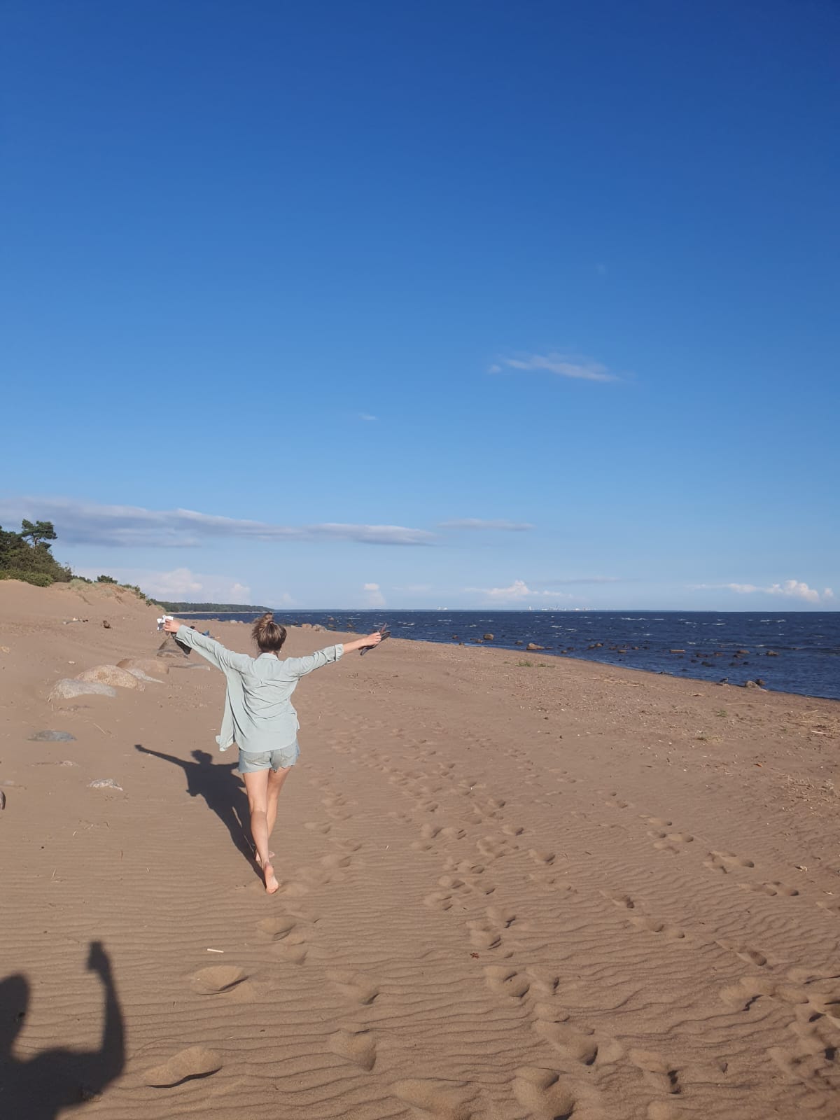 Фото Домик в Разливе