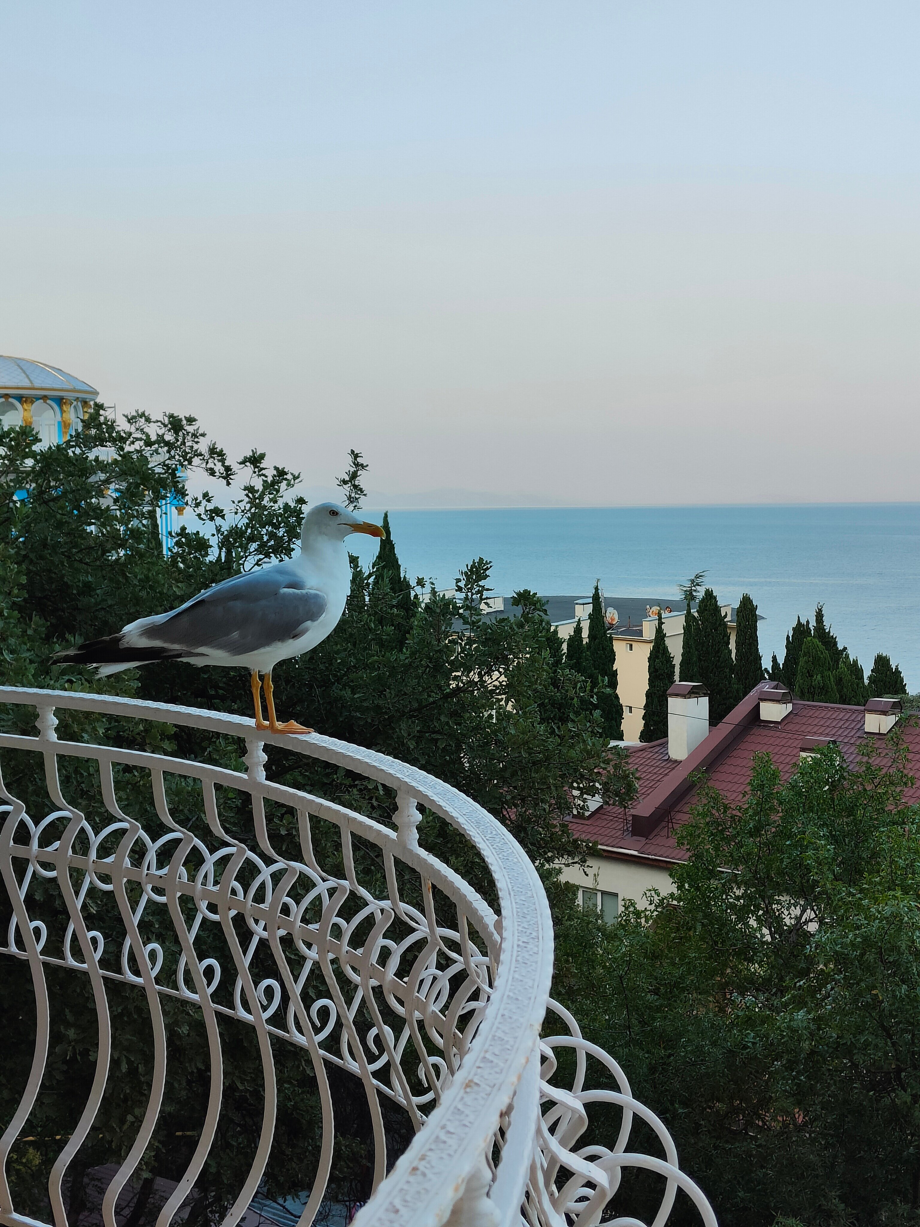 Фото Блюмарин